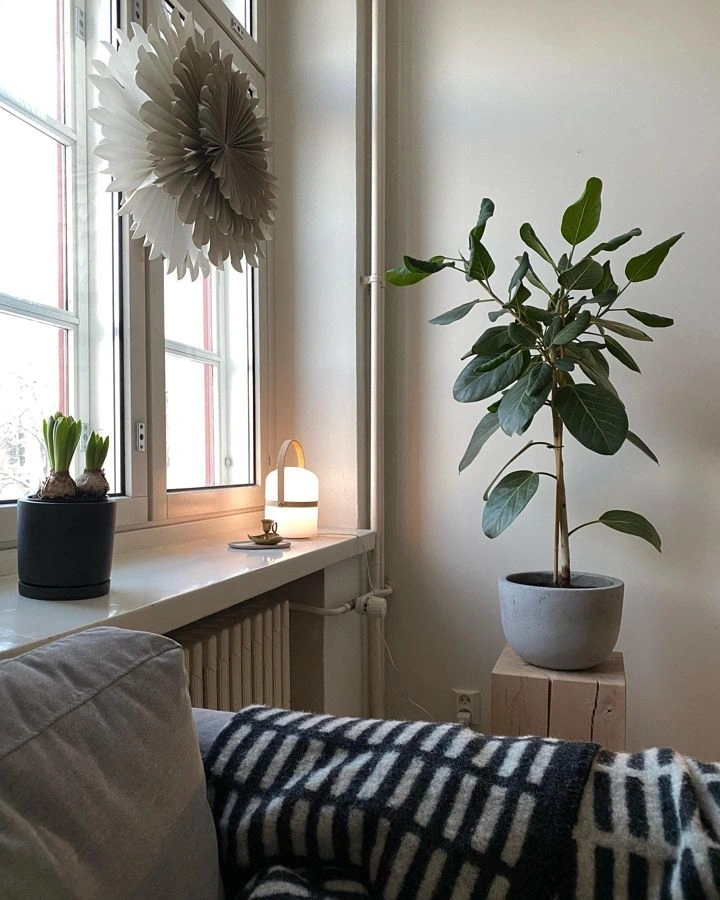 Tikkurila Canvas G485 living room