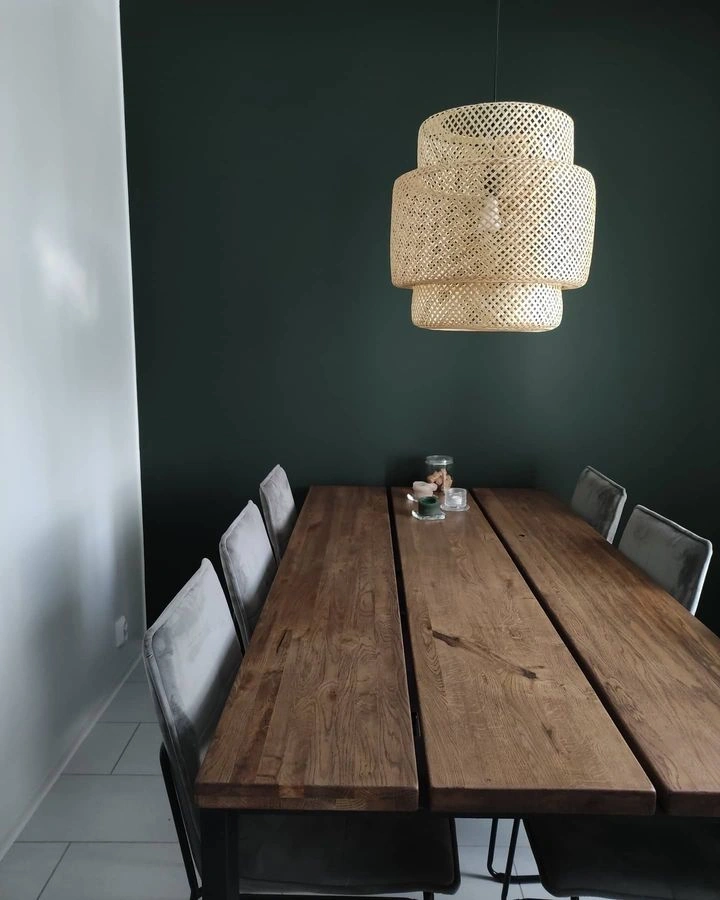 Tikkurila N378 Ficus dark green accent wall