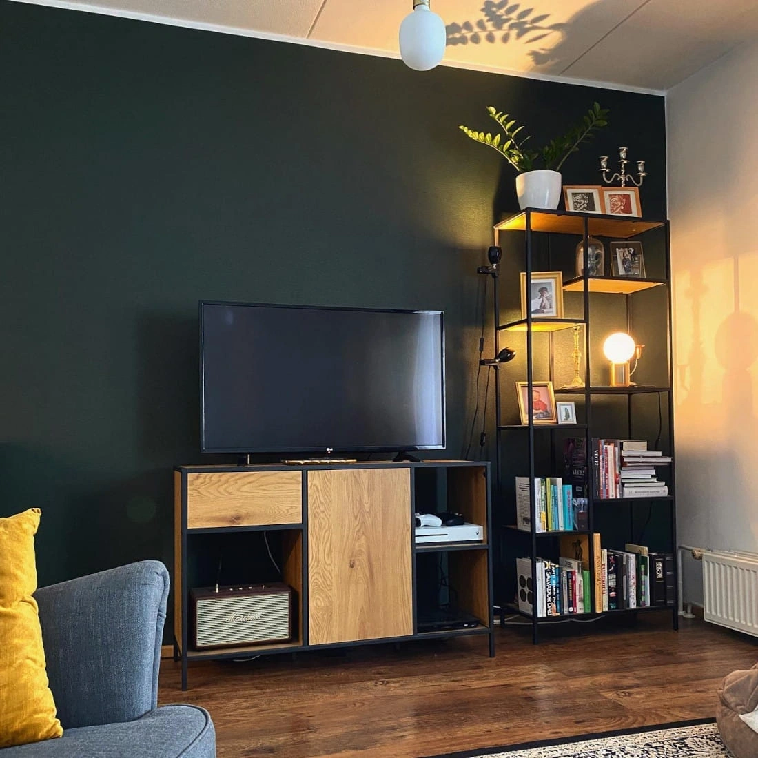 Dark green paint color Tikkurila Ficus N378