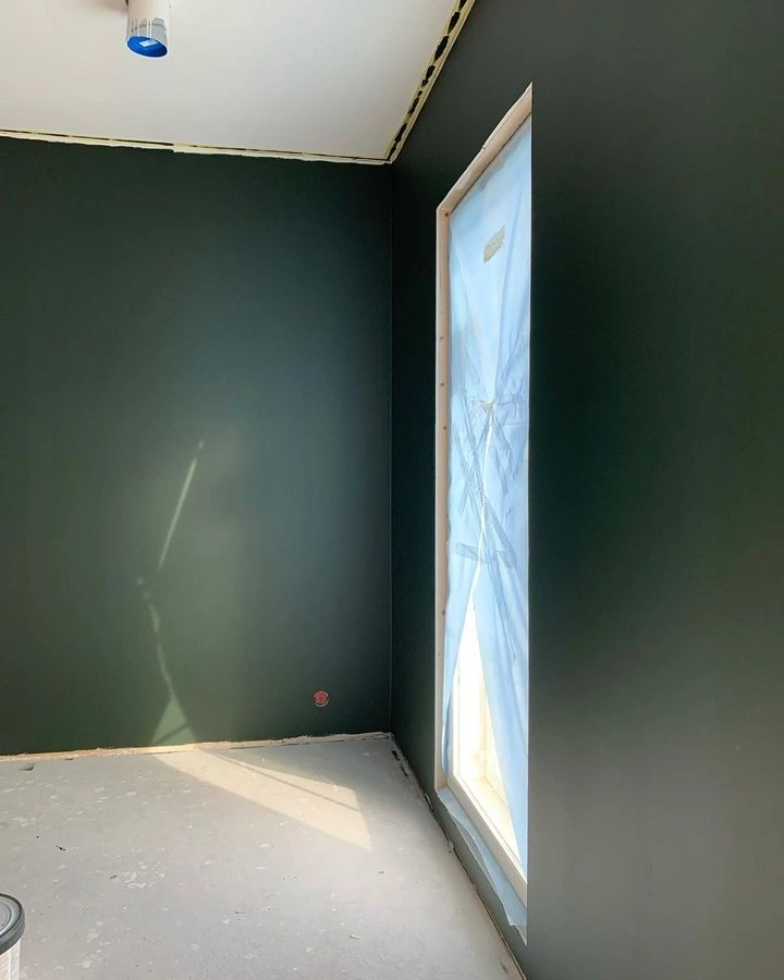 Dark green painted walls Tikkurila Ficus N378