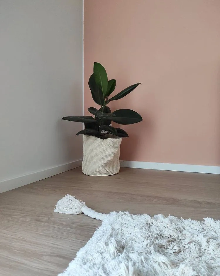 Sisämaalit Tikkurila Siesta J407