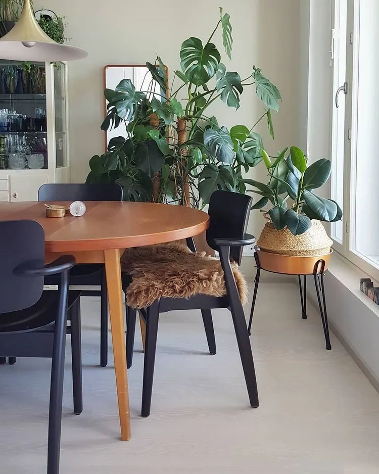 Sisämaalit Tikkurila Uni X459
