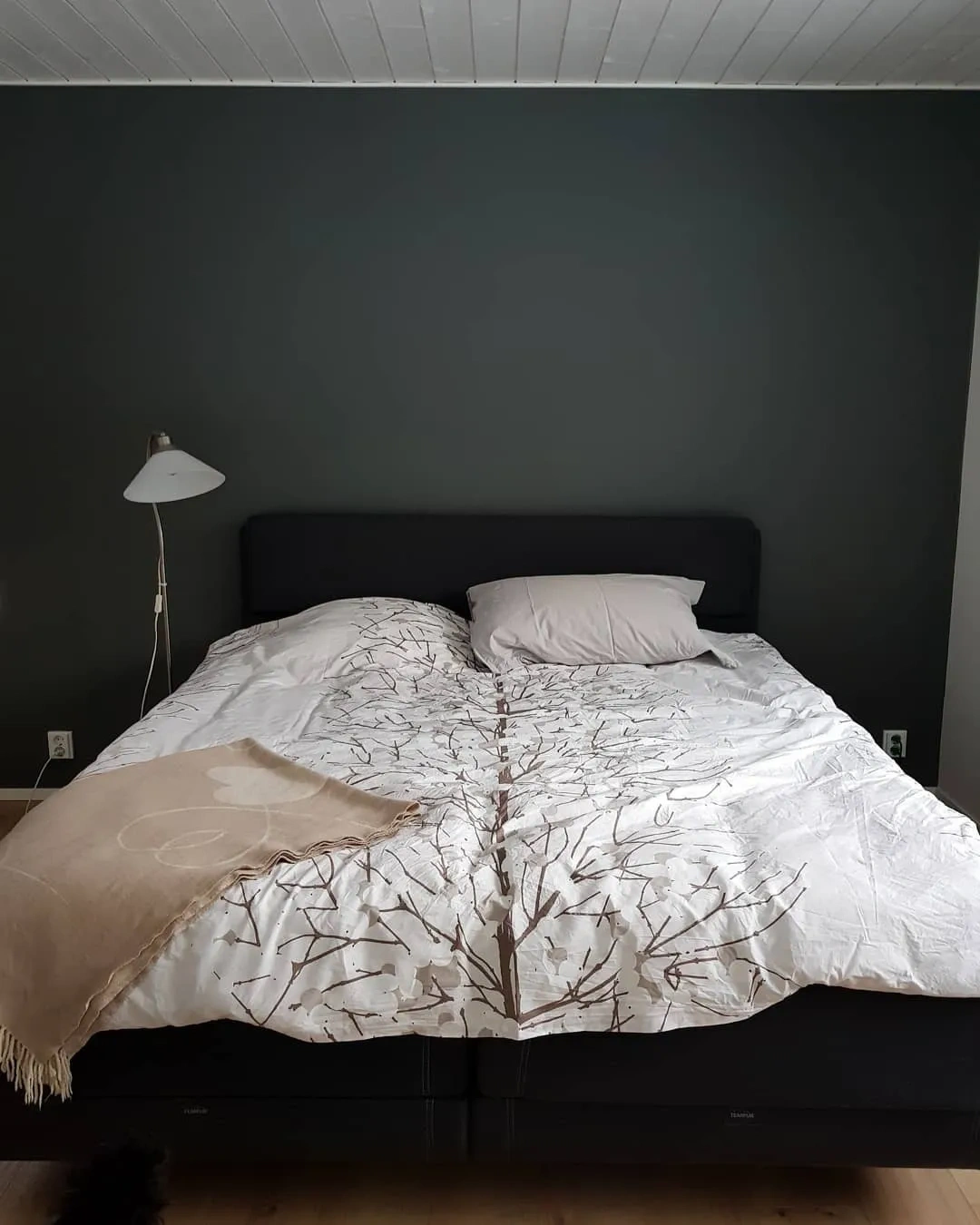 Sisämaalit Tikkurila Basaltti N499