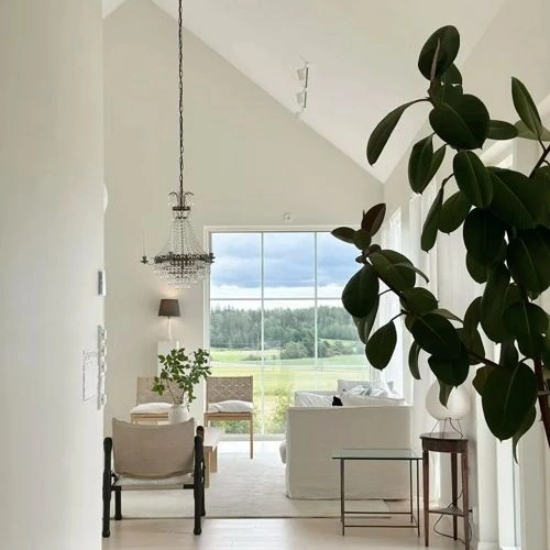 Tikkurila F484 Kalkki kokemuksia