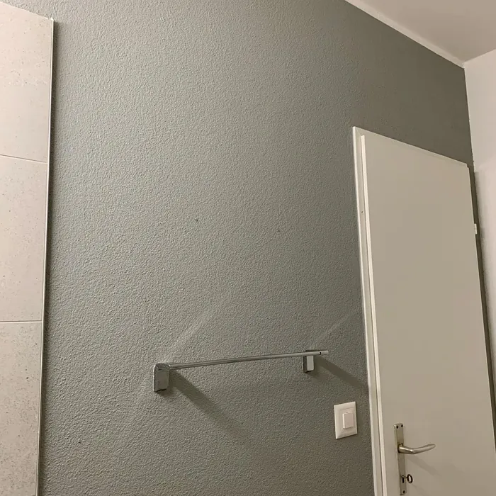 RAL Classic  Agate grey kylpyhuone sävy