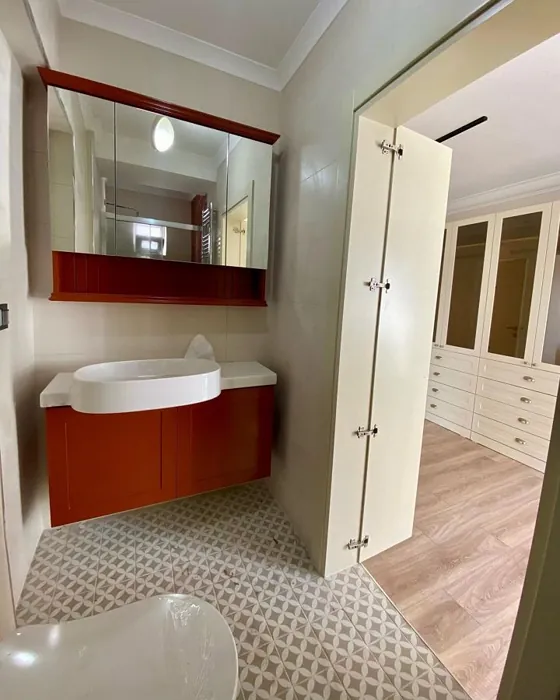 RAL 8004 kylpyhuoneen turhamaisuus väri