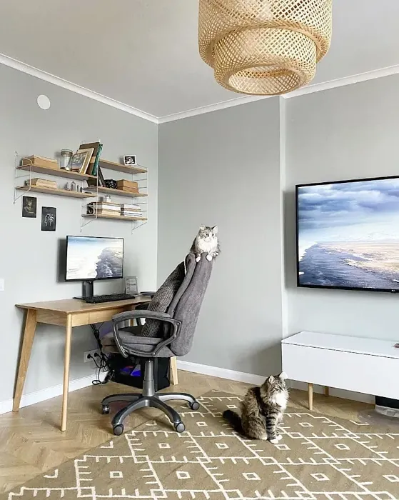 Sisämaalit Tikkurila  Deco Grey 1923