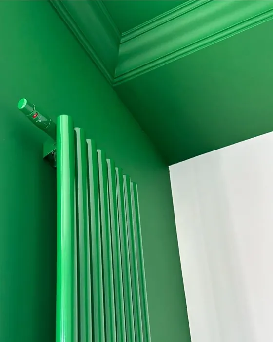 RAL 6001 seinämaalaus 