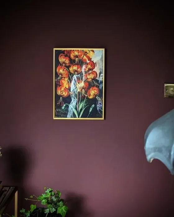 Frenchic Paint Boho Berry seinämaalaus 