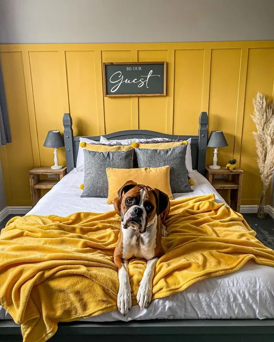 Frenchic Paint Hot as Mustard makuuhuone sävy