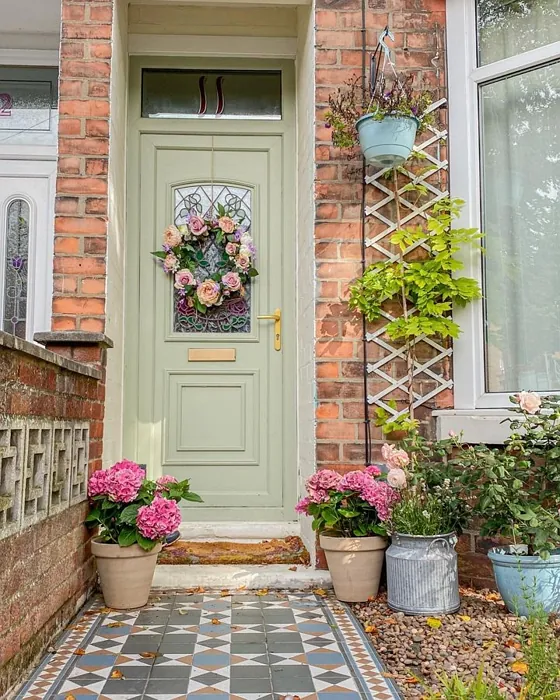 Frenchic Paint Wise Old Sage ovi väri