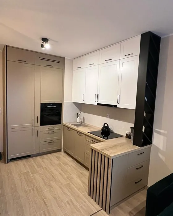 RAL 1019 keittiön kaapit sävy kokemuksia