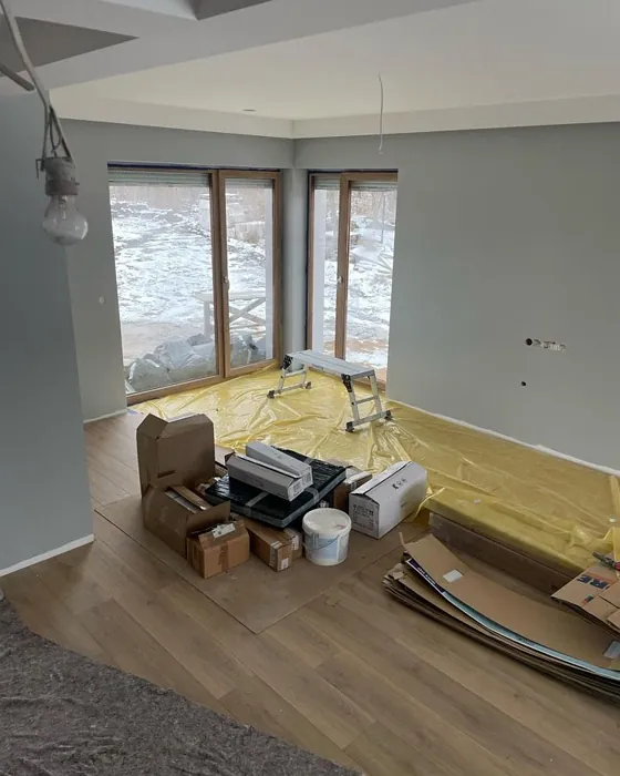 RAL 7035 seinämaalaus sävy