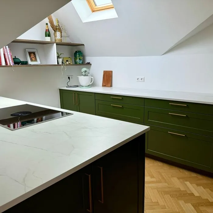 Olive green keittiön kaapit väri