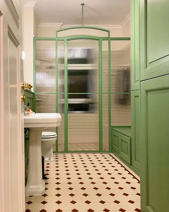 RAL 6021 maalatut kaapit kokemuksia