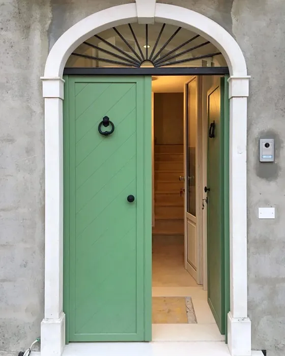 RAL 6021 etuovi kuva