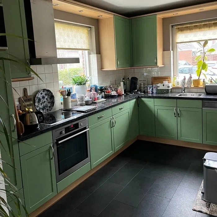 RAL Classic RAL 6021 keittiön kaapit kuva