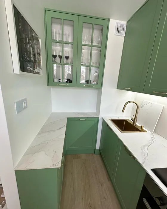 RAL 6021 keittiön kaapit sävy