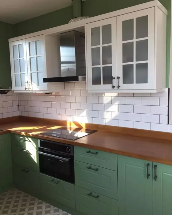 RAL Classic  Pale green keittiön kaapit 