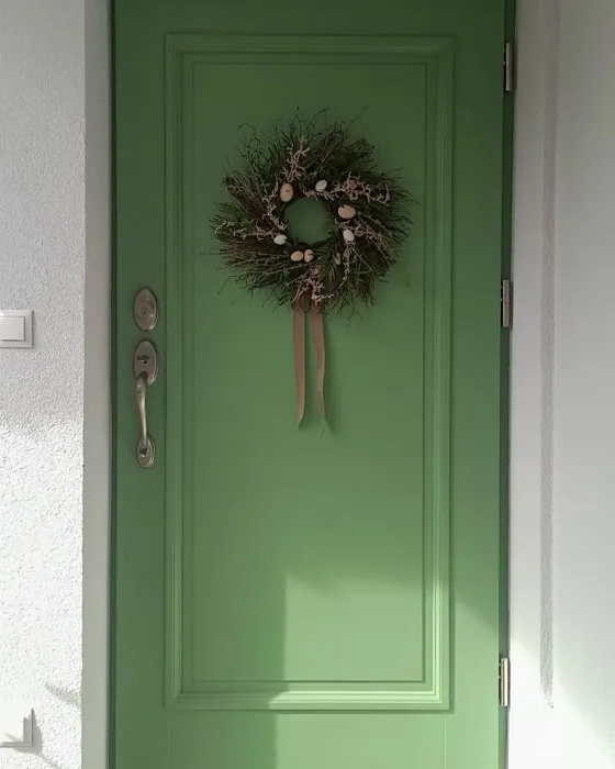  Pale green etuovi kuva