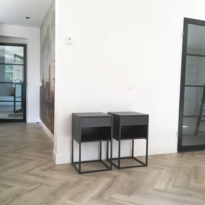 RAL 9010 seinämaalaus 