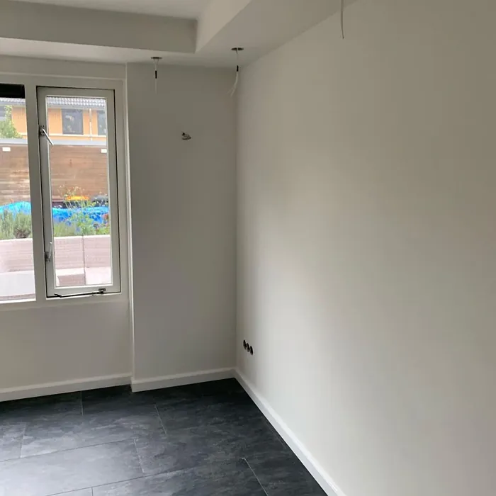 RAL 9010 seinämaalaus sävy