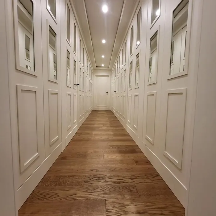 RAL Classic  Pure white käytävällä sisusta