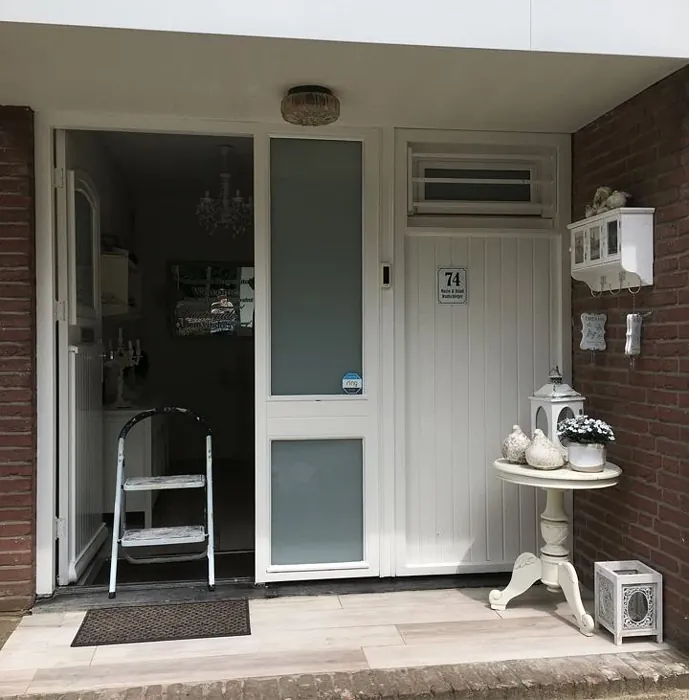 RAL 9010 etuovi sävy