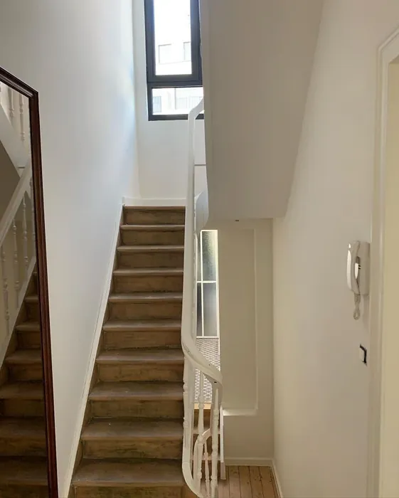 RAL 9010 käytävällä väri