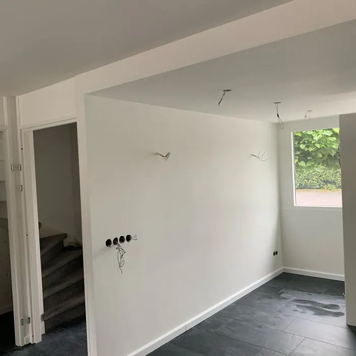 RAL 9010 seinämaalaus väri