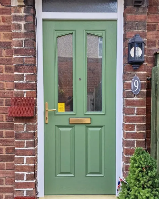 RAL 6011 etuovi väri