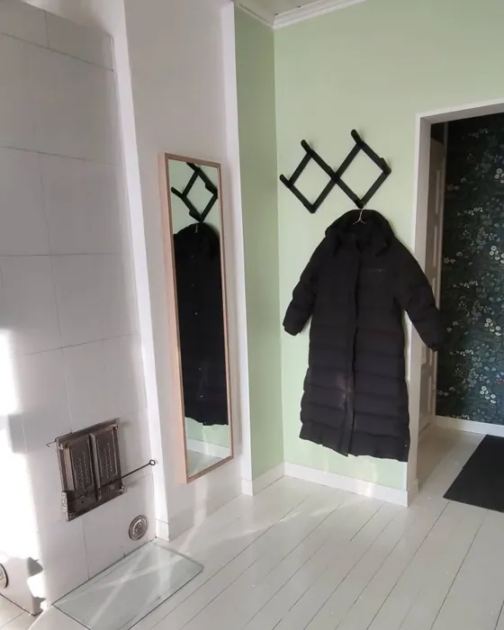 Tikkurila Aaloe käytävällä sävy