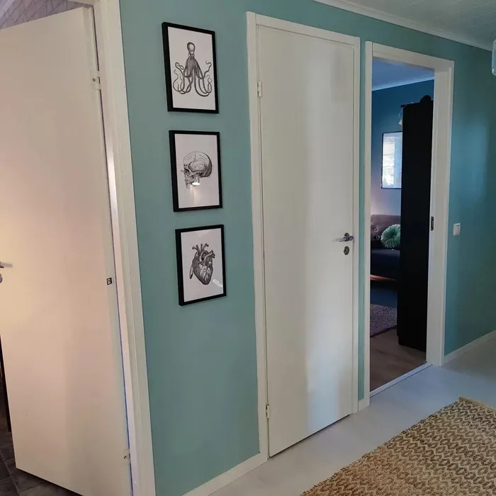 Tikkurila Aalto käytävällä kokemuksia