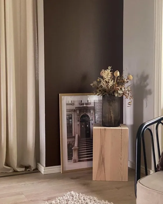 Tikkurila Aleksandriitti korostusseinä sävy