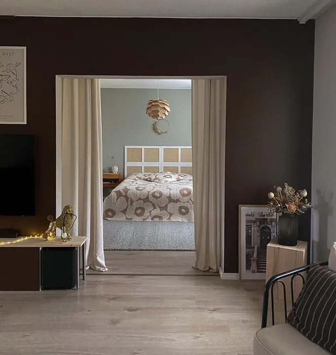 Tikkurila Aleksandriitti olohuone väri