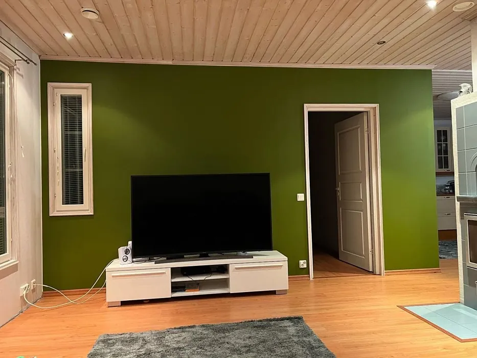 Tikkurila Amazon olohuone sävy