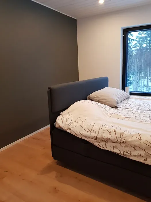 Sisämaalit Tikkurila Basaltti N499