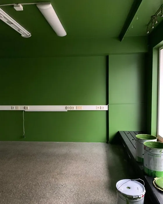 Tikkurila M384 seinämaalaus kuva