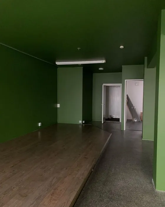 Tikkurila M384 seinämaalaus remontti
