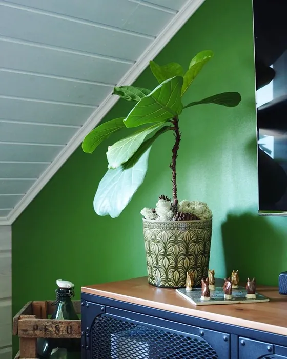 Tikkurila M384 korostusseinä sävy
