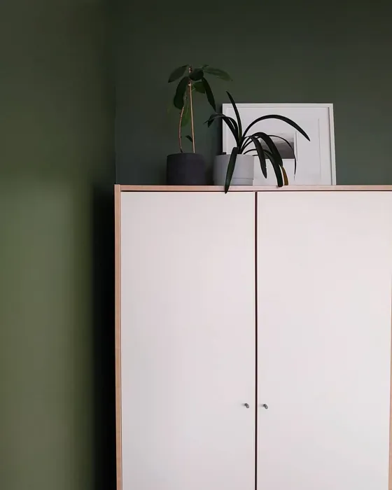 Sisämaalit Tikkurila Bonsai N448