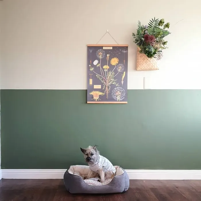 Sisämaalit Tikkurila Bonsai N448