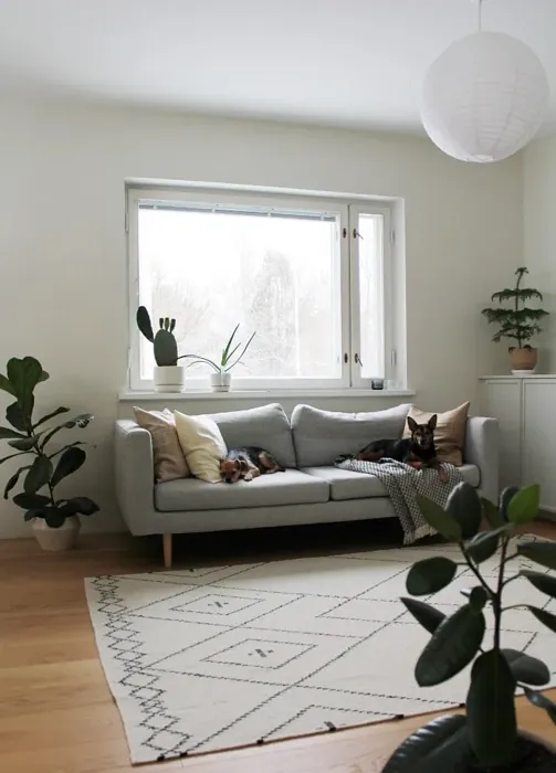 Sisämaalit Tikkurila Brie F457