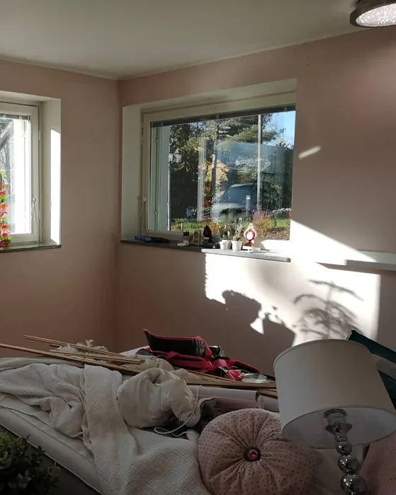 Sisämaalit Tikkurila Budoaari G477