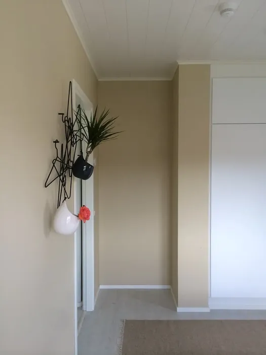 Sisämaalit Tikkurila Chai H459