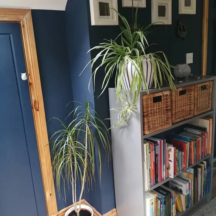 Sisämaalit Tikkurila Denim N429