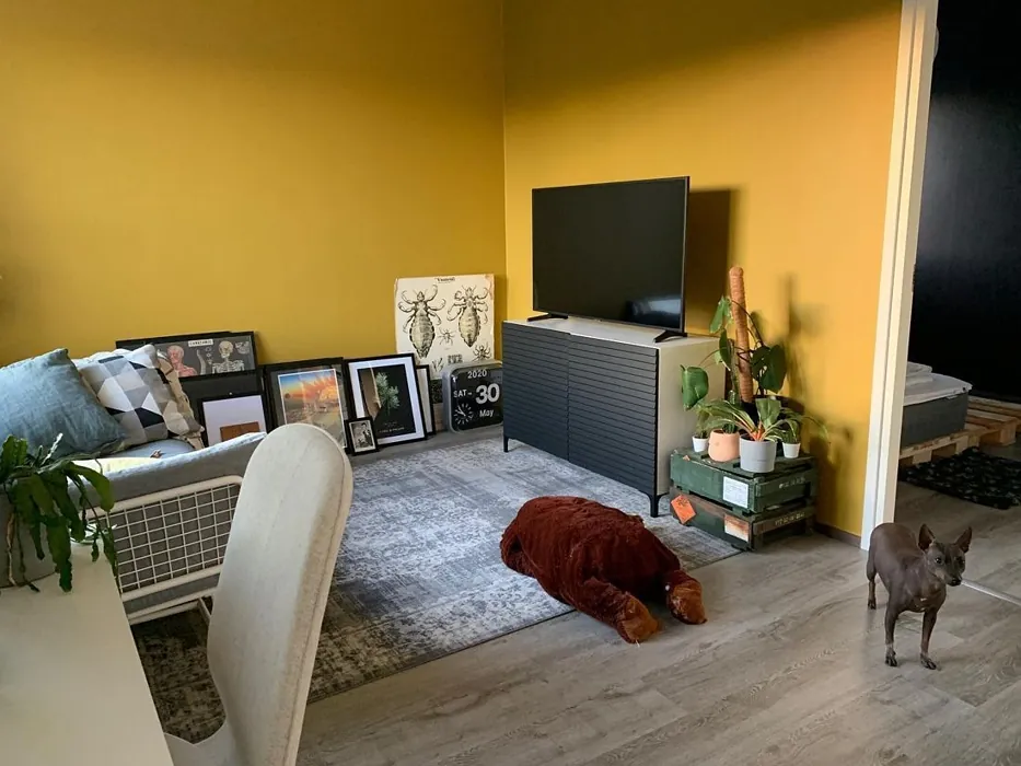 Tikkurila Dukaatti olohuone sävy