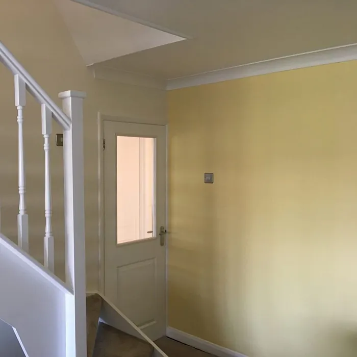 Tikkurila H303 korostusseinä 