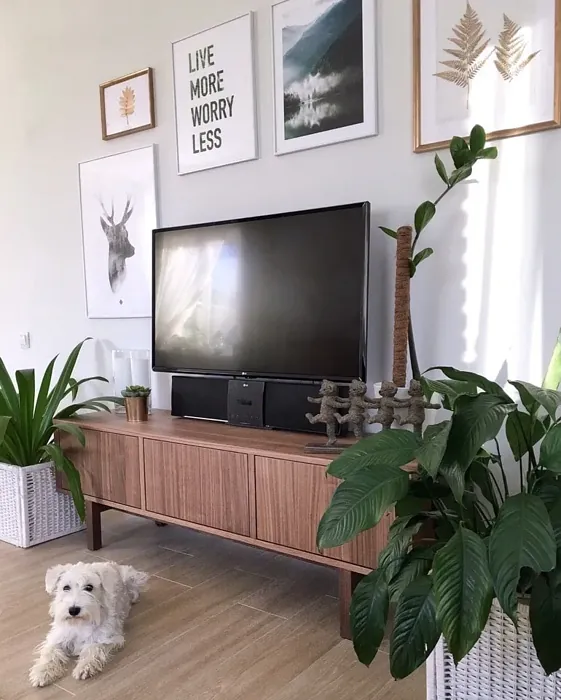 Sisämaalit Tikkurila Enkeli F500