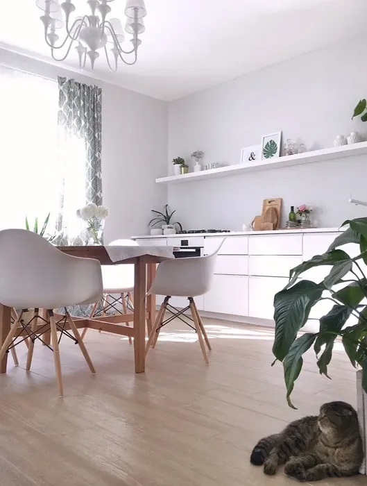 Sisämaalit Tikkurila Enkeli F500